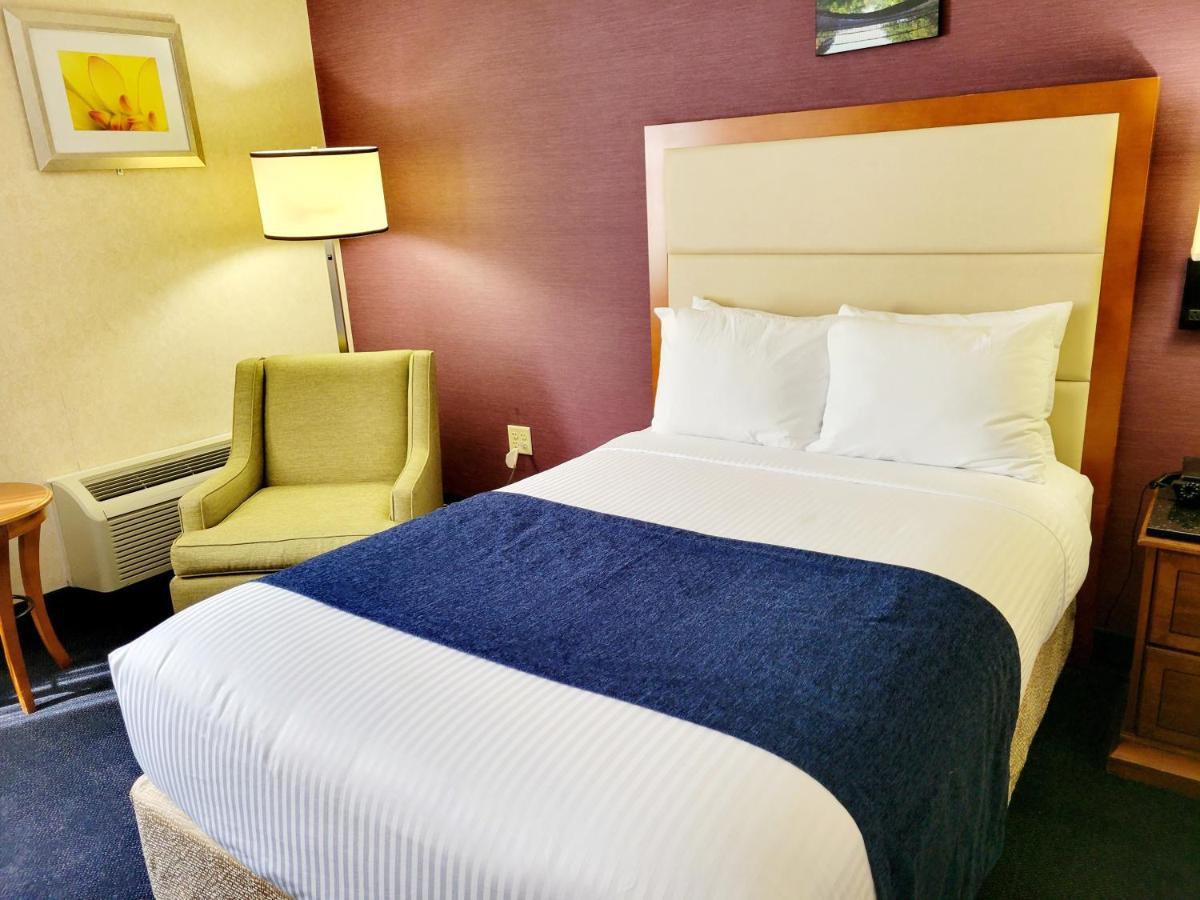 Bangor Grande Hotel 外观 照片